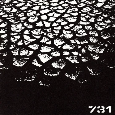 Raw.Grind.Violence Live On PBS 106.7 FM 06.12.2006 by 731 - album cover