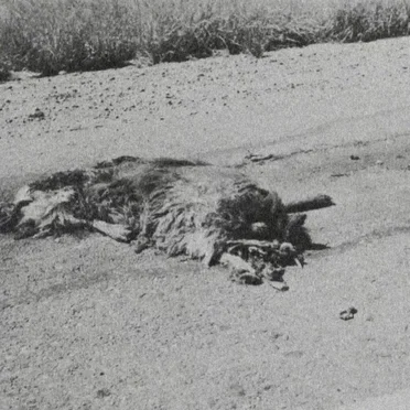 Remains to Be Seen
