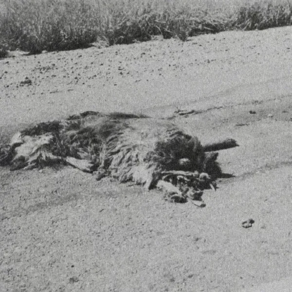 Remains to Be Seen