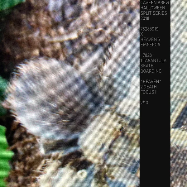 Halloween Split Series 18.2