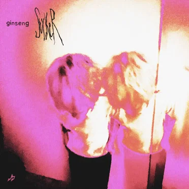 Sucker by Ginseng - album cover