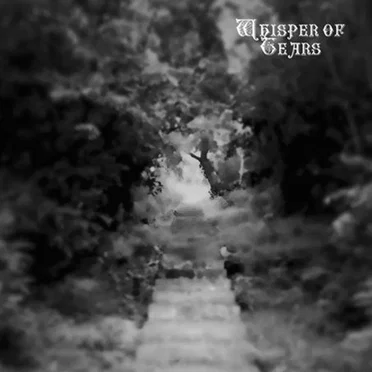 Into The Night by Whisper Of Tears - album cover