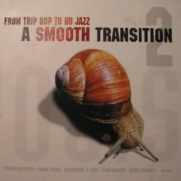 From Trip Hop to Nu Jazz: A Smooth Transition, Volume 2 by Various Artists - album cover
