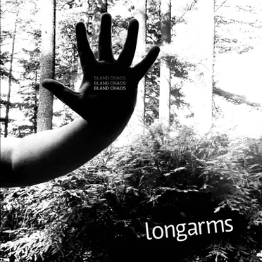 Longarms by Bland Chaos - album cover