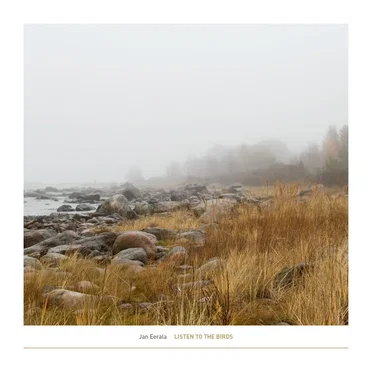 Listen to the Birds by Jan Eerala - album cover