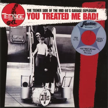 Teenage Shutdown! You Treated Me Bad! by Various Artists - album cover