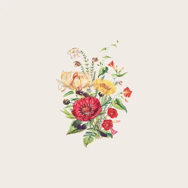 Bouquet of étude by カササギ - album cover