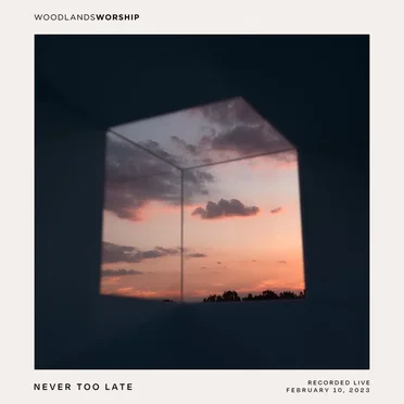 Never Too Late (live)