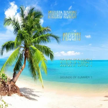 Sounds Of Summer 3 by Various Artists - album cover