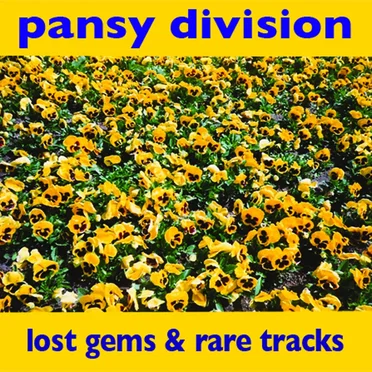 Lost Gems & Rare Tracks