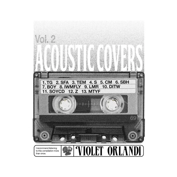 Acoustic covers, Vol. 2