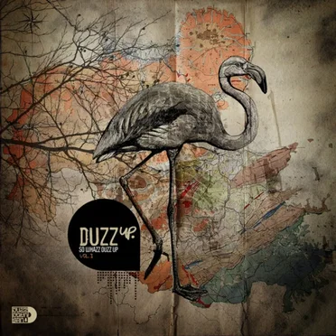 DuzzUp, Volume 3 by Various Artists - album cover