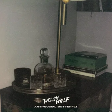 Anti-Social Butterfly by Welsh Wolf - album cover