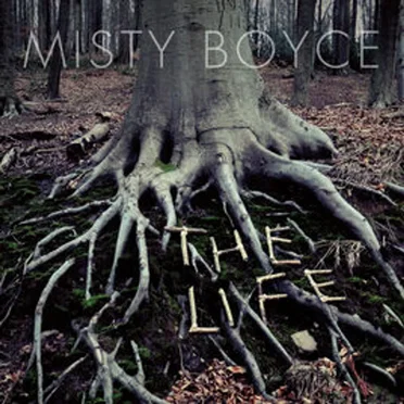 The Life by Misty Boyce - album cover