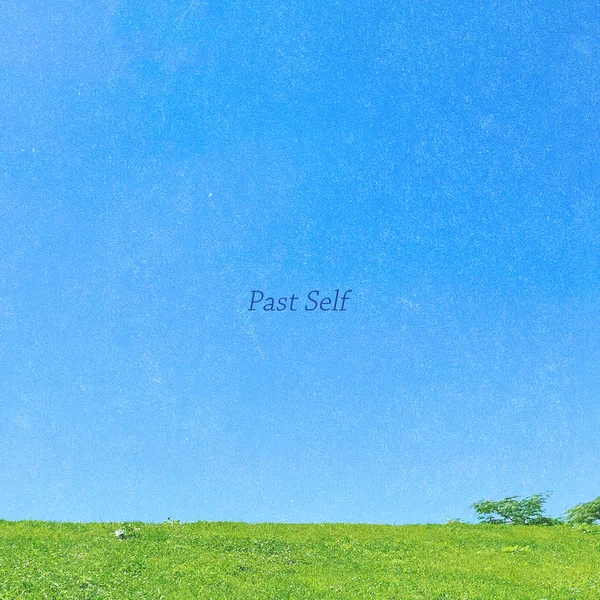 Past Self