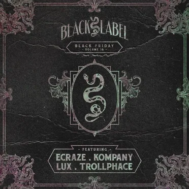 Black Friday, Vol. 16 by Various Artists - album cover