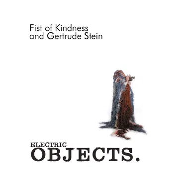 Electric Objects.