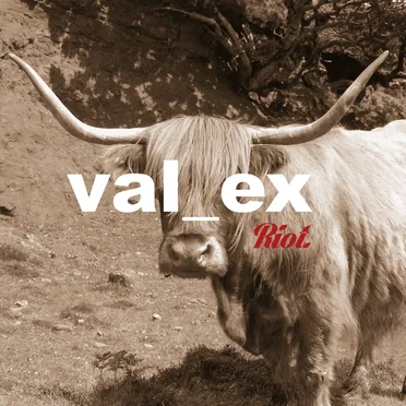 Riot by val_ex - album cover