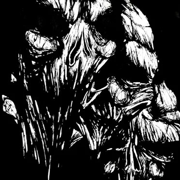 The Silent Echoes of the Confinement