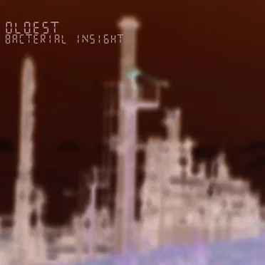 Bacterial Insight