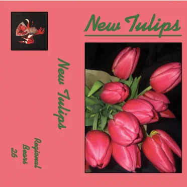 New Tulips by Various Artists - album cover