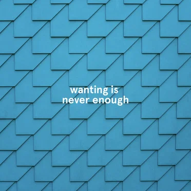 wanting is never enough