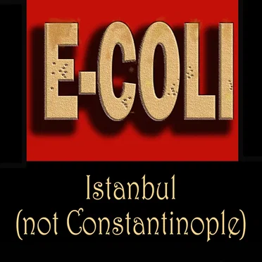 Istanbul (not Constantinople)