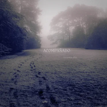 Acompañado by Amanece Más - album cover