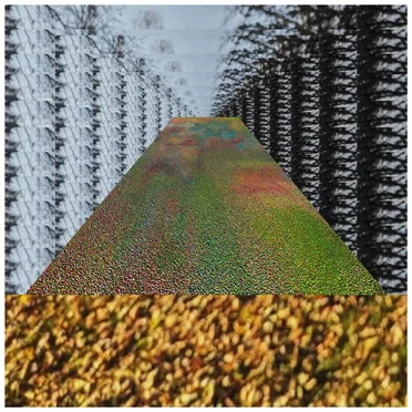 Limestone Ziggurat Inversions by The Amniotics - album cover