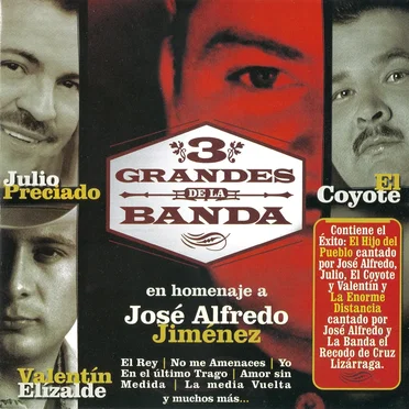 3 Grandes de La Banda en homenaje a José Alfredo Jiménez by Various Artists - album cover