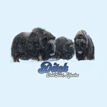 Coldfoot, Alaska by DiTCH - album cover