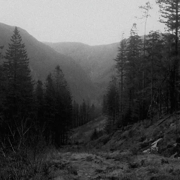 Mítt Ríce by Auld Ridge - album cover