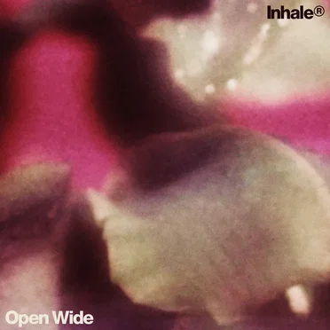 Open Wide by Inhaler - album cover