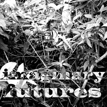 imaginary futures m i x