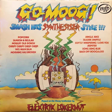 Go-Moog! by Elektrik Cokernut - album cover