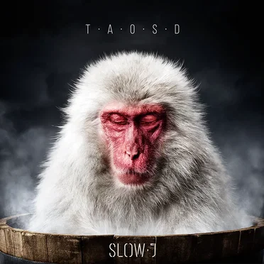 The Art Of Slowing Down by Slow J - album cover