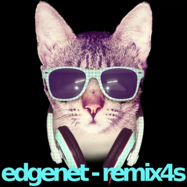 REMIX4S by edgenet - album cover