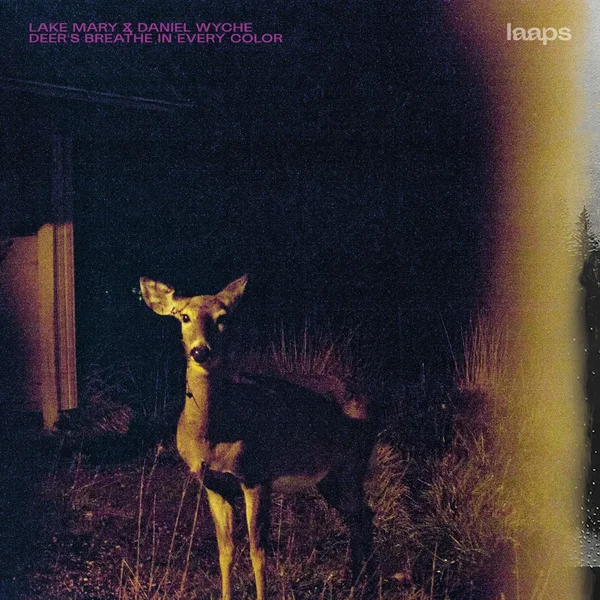 Deer’s Breathe in Every Color