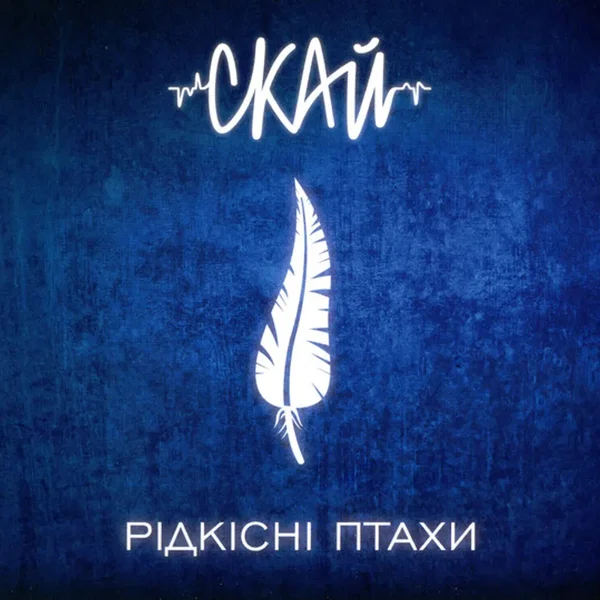 Рідкісні Птахи