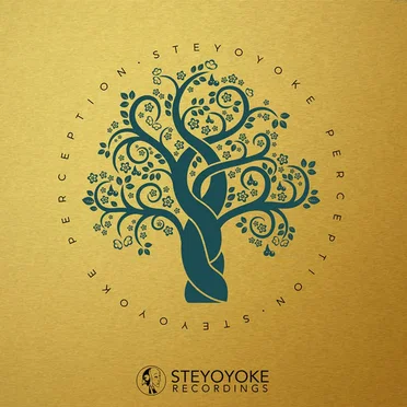 Steyoyoke Perception, Vol. 02 by Various Artists - album cover