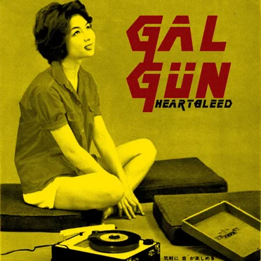 Heartbleed