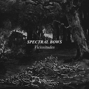 Spectral Bows: Vicissitudes by Lost Salt Blood Purges - album cover
