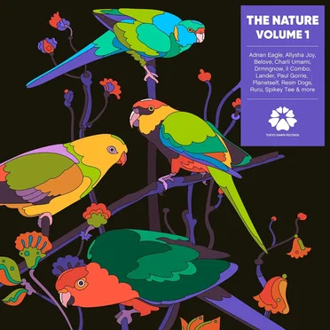 The Nature Volume 1 by Various Artists - album cover