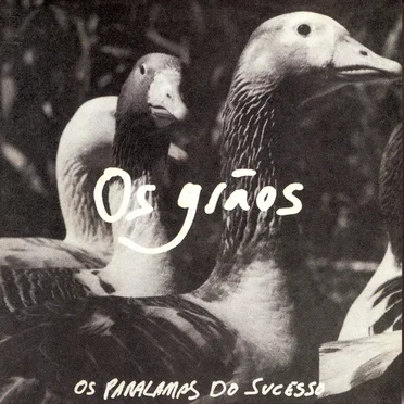 Os grãos