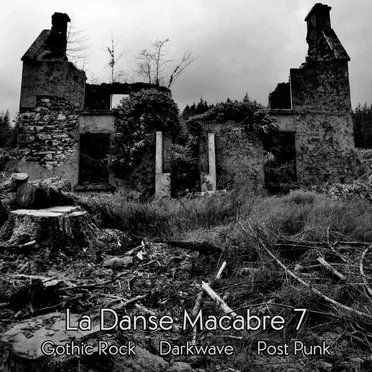 La Danse Macabre 7 by Various Artists - album cover