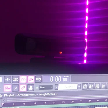 The Webcam Song 2