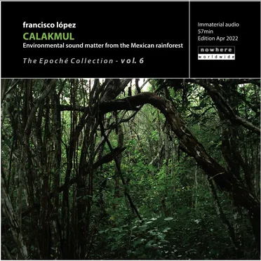 Calakmul: Environmental Sound Matter From the Mexican Rainforest
