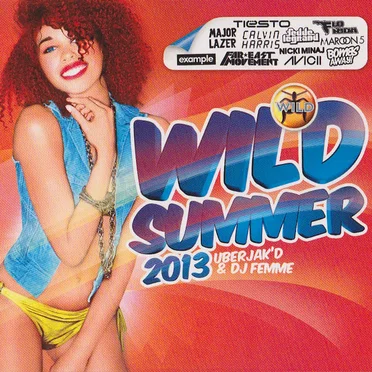 WILD Summer 2013 by Various Artists - album cover
