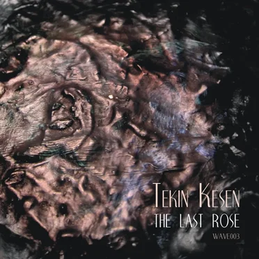 The Last Rose by Tekin Kesen - album cover