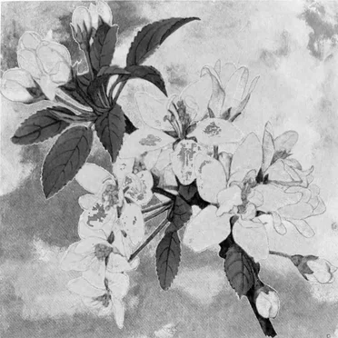 god is a girl (99jakes ^0^ remix)